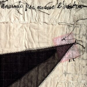maria lai : holding the shadow by the hand = holding the shadow by the hand / text by = text by elena pontiggia ; photographs by = photographs by giorgio dettori