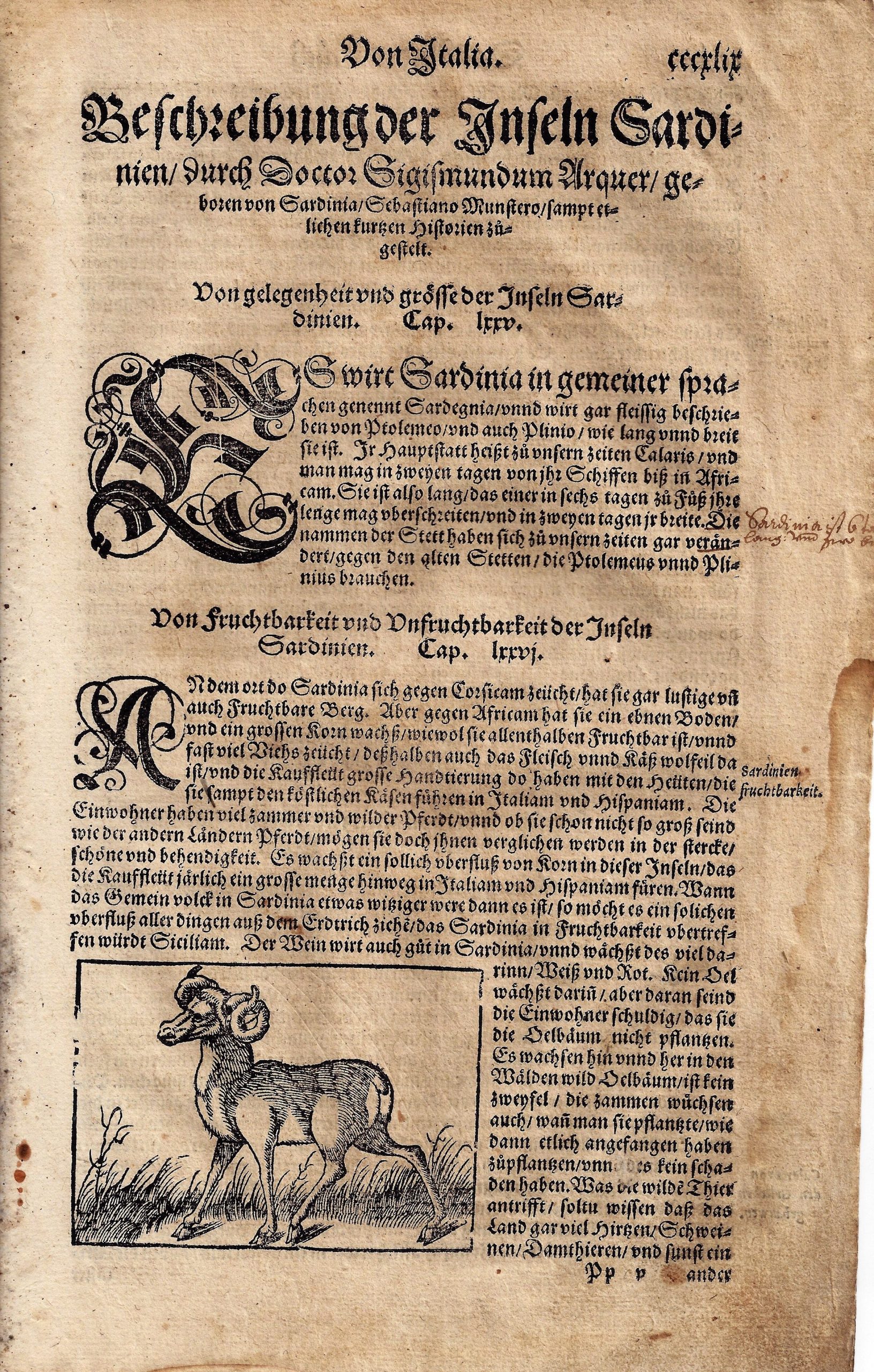 imgi_2_1559_cosmographiae_universalis cosmographiae universalis lib. vi.