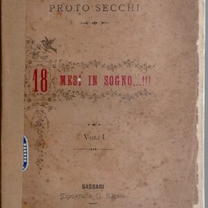 18 mesi in sogno...!!!, ossia arresto e liberazione di un supposto complice in bancarotta fraudolenta / per il notaro proto secchi
