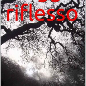 viaggio riflesso : romanzo breve / giuseppe cabizzosu