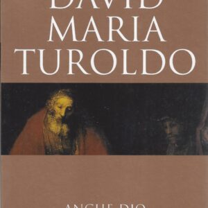 anche dio è infelice / david maria turoldo ; prefazione di geno pampaloni