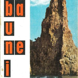 baunei / angelino usai