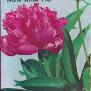 un uomo non ama più : romanzo