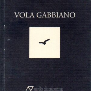 vola gabbiano / emanuele d'urso