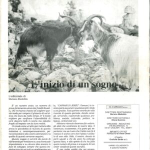 il capraro di jerzu : l'inizio di un sogno : numero unico / direttore responsabile mariano madeddu, direttore editoriale ettore businco